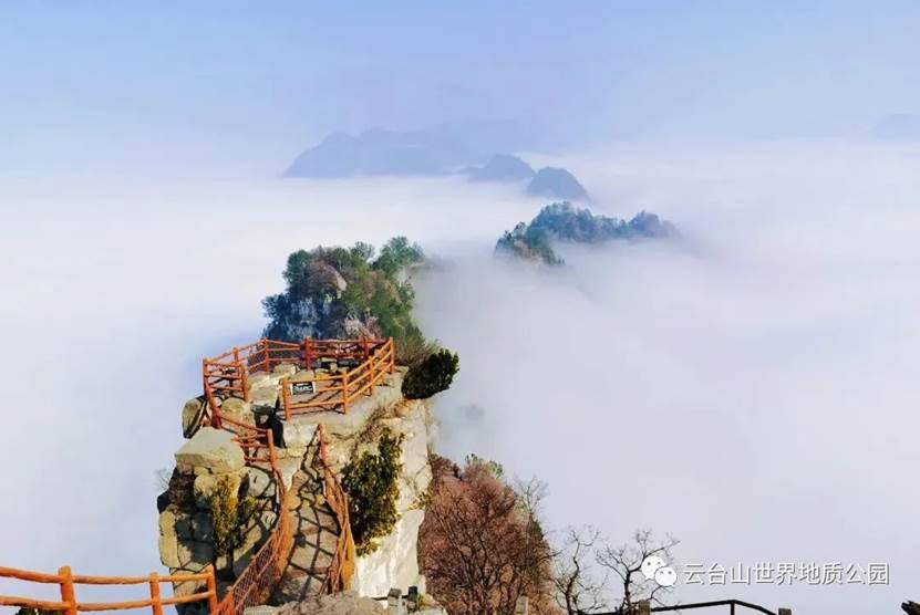 春暖花开、莺歌燕舞，神农山现漫山桃花、大美云海！