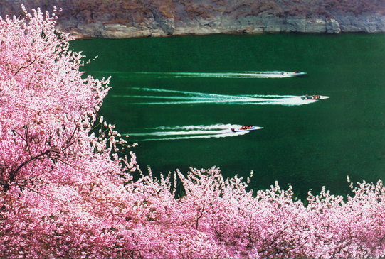 Spring in Qingtianhe