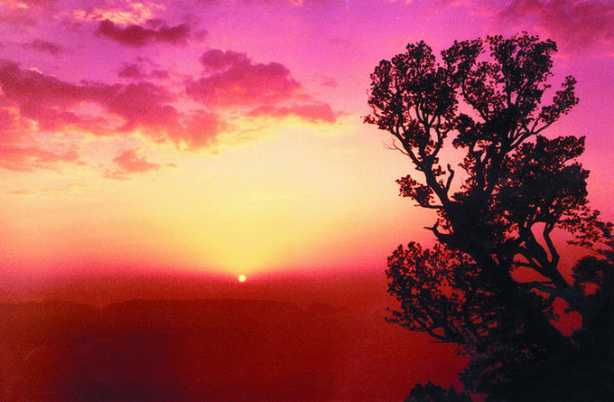 Sunset Glow