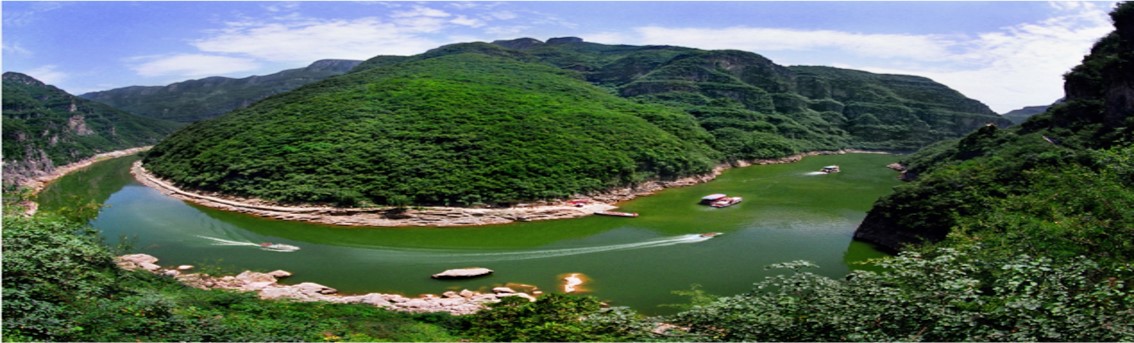 The Whale Bay