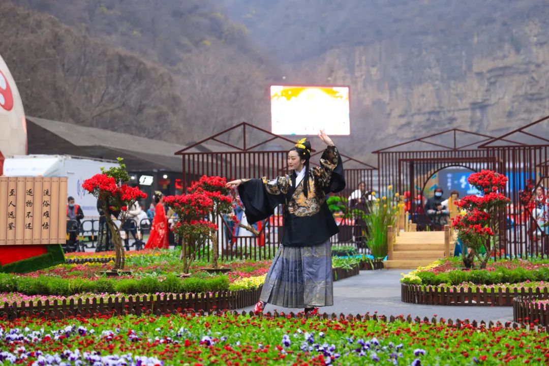Hundreds of flowers are in full bloom, the goddess price is coming! Free entrance for ladies nationwide!