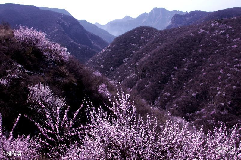 Taohua Stream