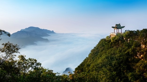 Eighteen cities in the province party newspaper new media wind Qinglongxia